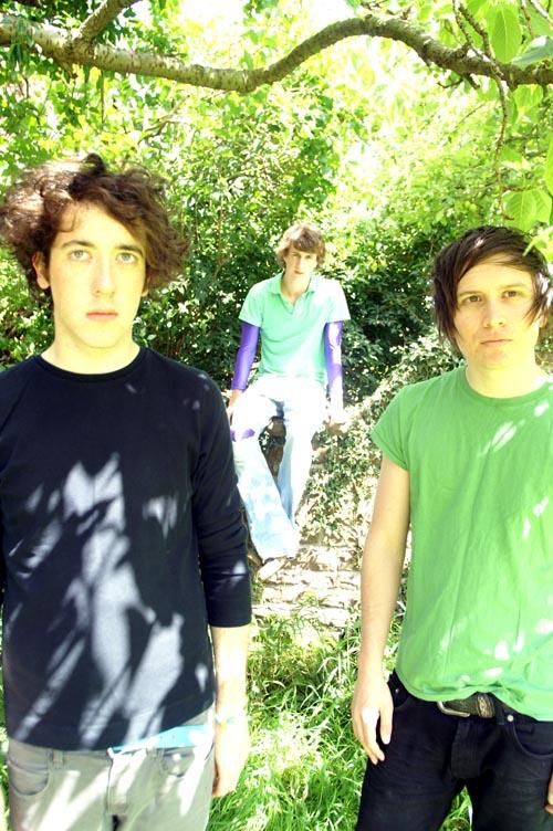 The Wombats