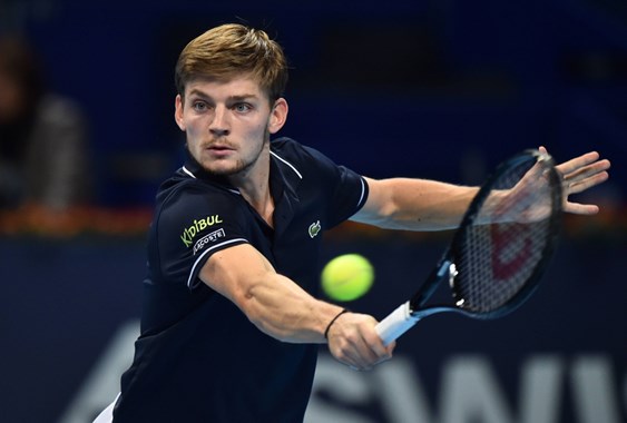 David Goffin