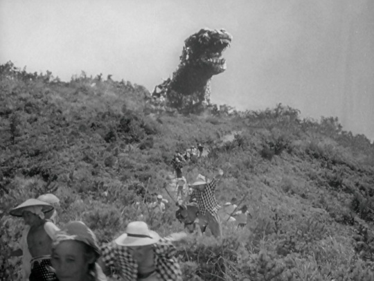 Godzilla Godzilla