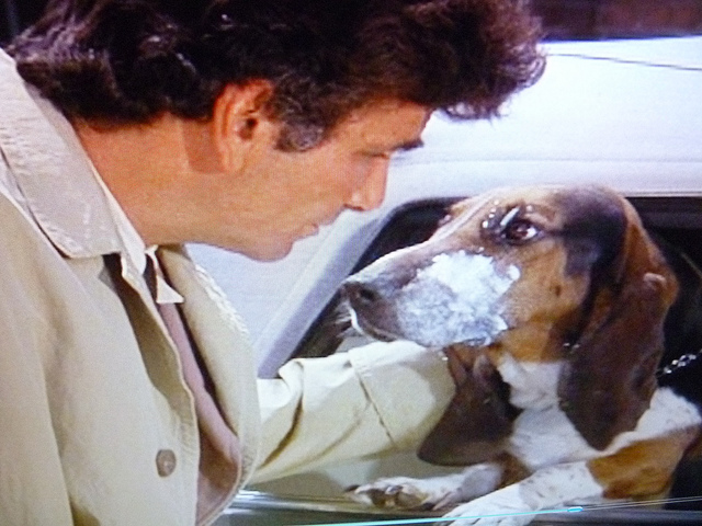 Dog