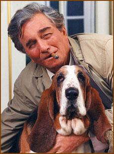 Dog Dog