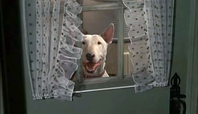 Bodger