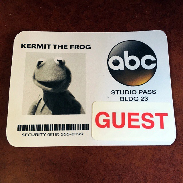 The Muppets.