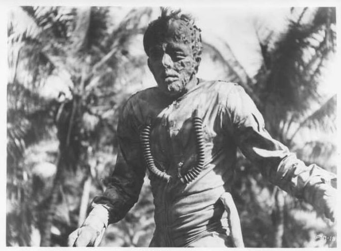Frankenstein Meets the Space Monster