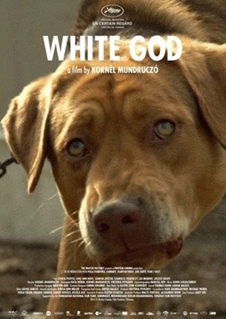 White God