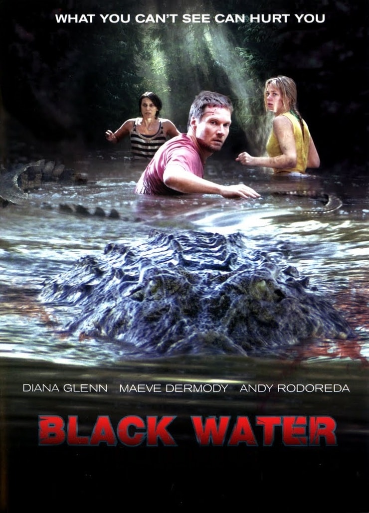 Picture of Black Water (2007)