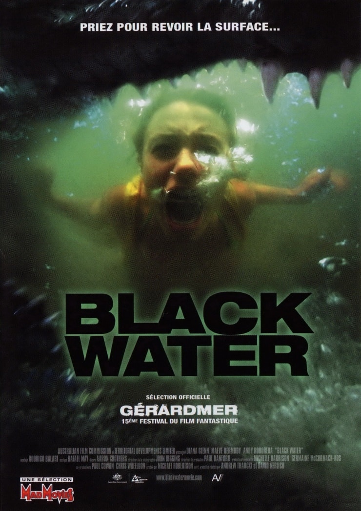 Picture Of Black Water (2007)