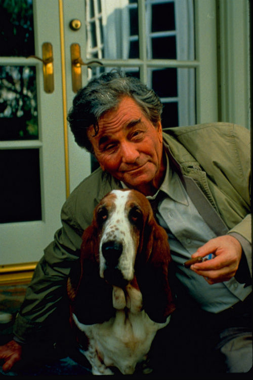 Dog Dog