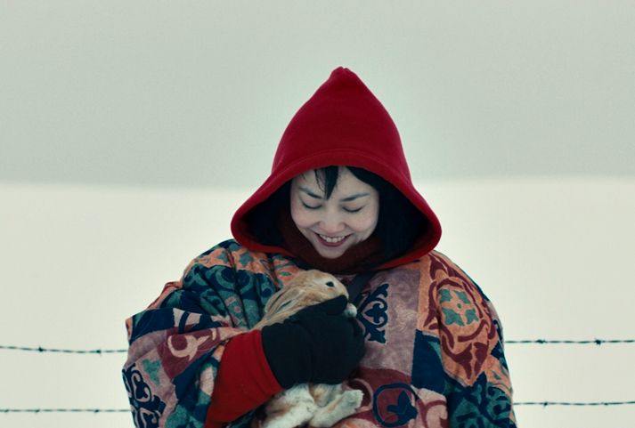 Kumiko, The Treasure Hunter