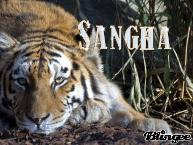 Sangha Sangha