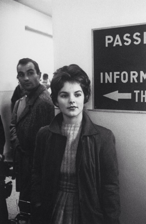 Priscilla Presley