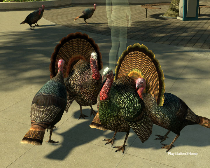 PlayStation Home