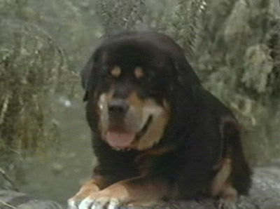 Picture Of Max 3000
