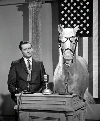 Mister Ed