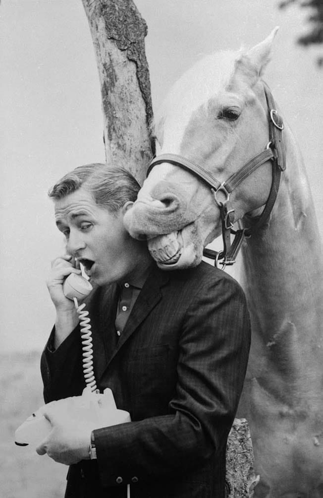 Mister Ed