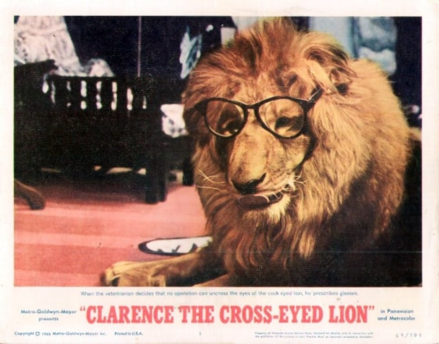 Clarence the Cross-eyed Lion