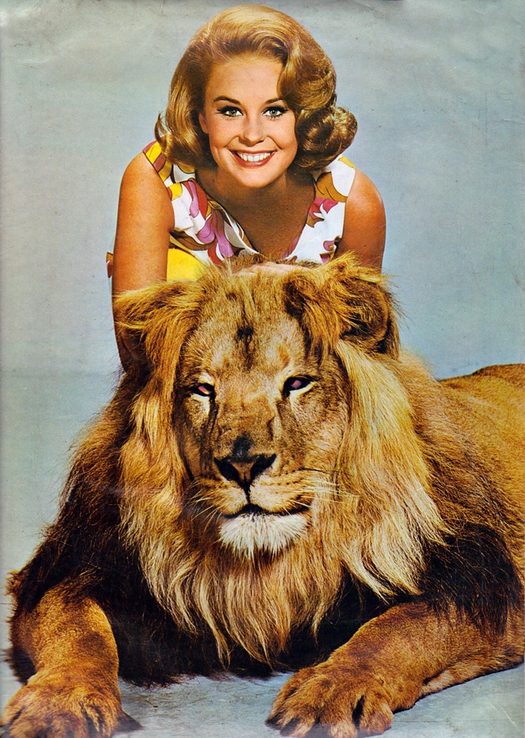 Clarence the Cross-eyed Lion Clarence the Cross-eyed Lion