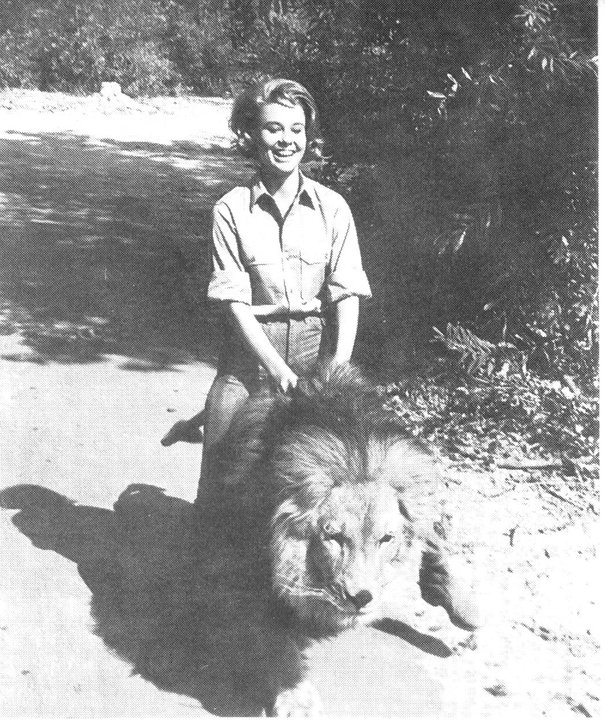 Clarence the Cross-eyed Lion Clarence the Cross-eyed Lion