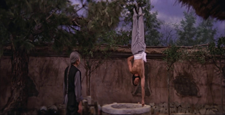 Invincible Shaolin 
