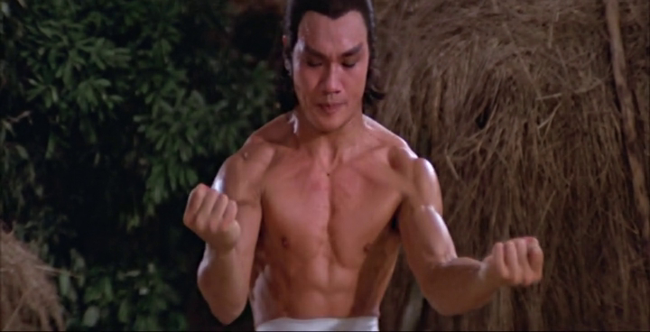 Invincible Shaolin 