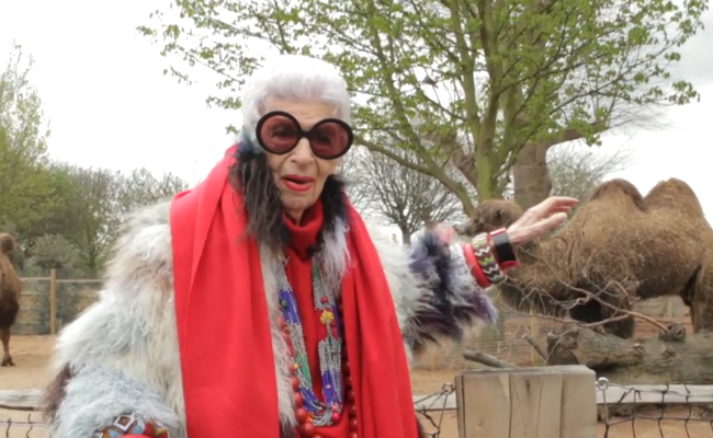 Iris Apfel