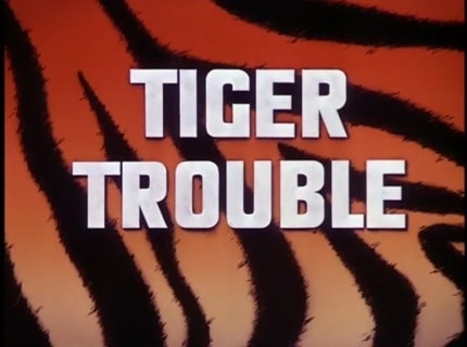 Tiger Trouble Tiger Trouble