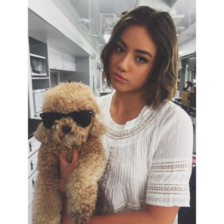 Chloe Bennet Chloe Bennet