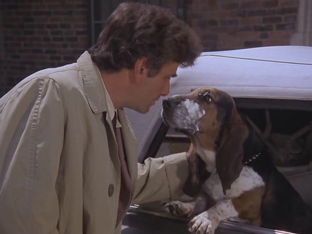 Dog Dog