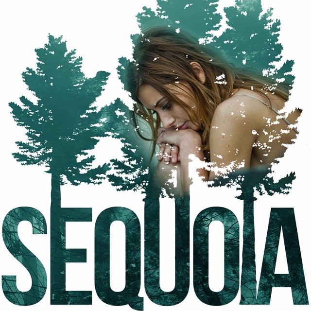 Sequoia