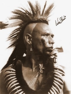 Wes Studi