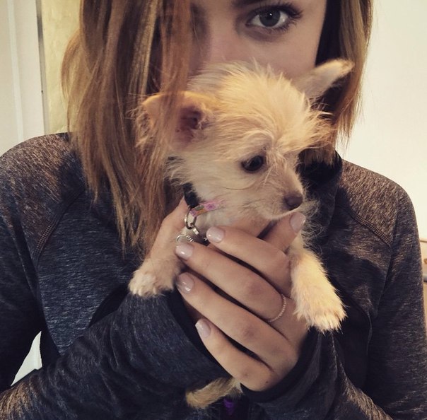 Lucy Hale