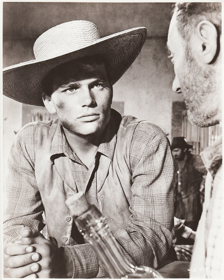 Patrick Wayne Patrick Wayne