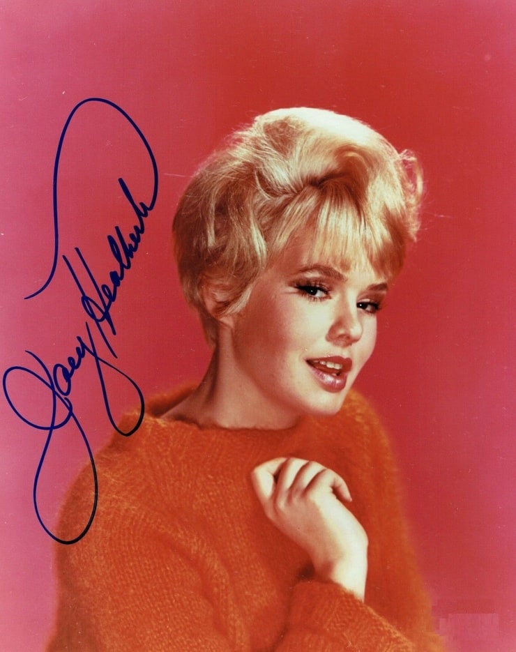 Joey Heatherton Joey Heatherton