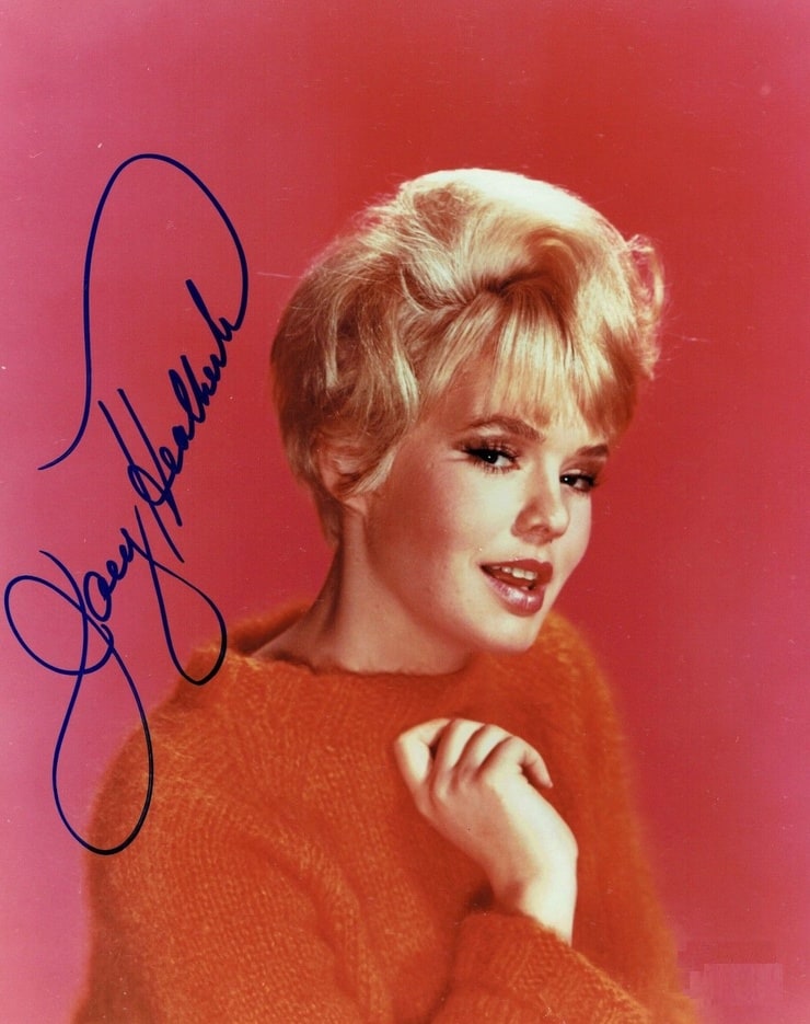 Joey Heatherton