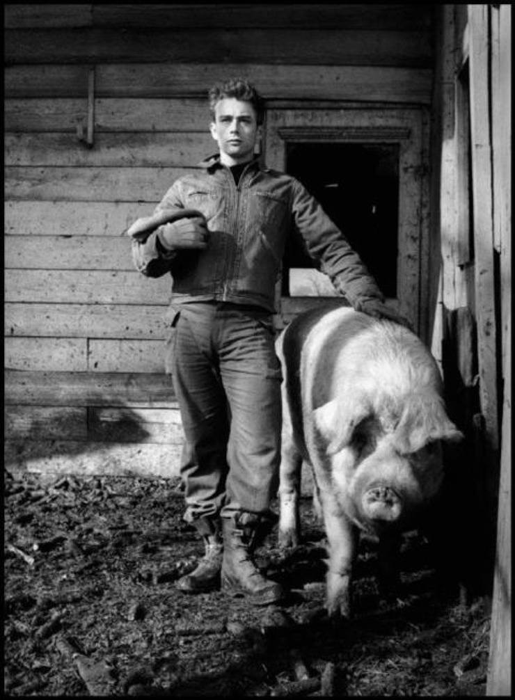 James Dean James Dean