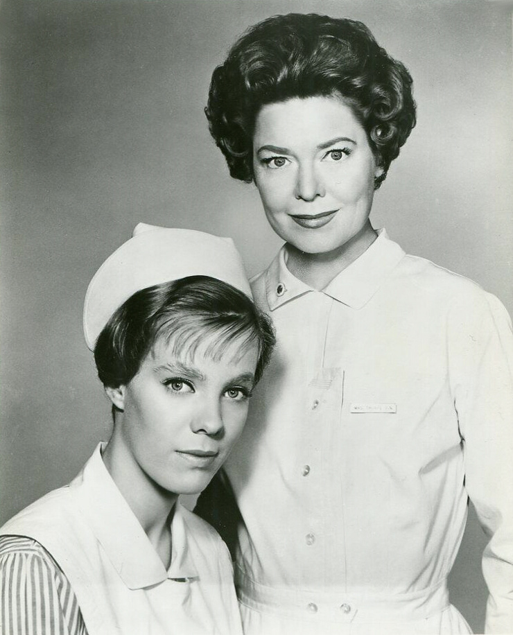 The Nurses The Nurses