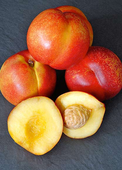 Nectarine