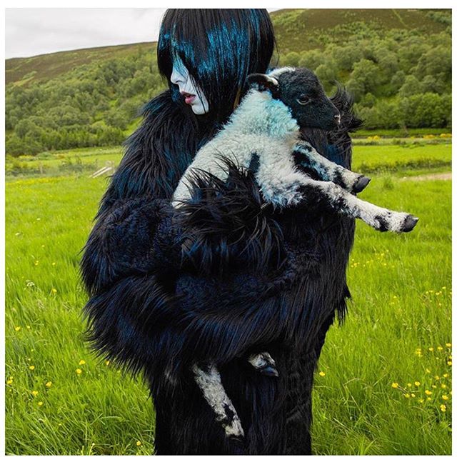 Edie Campbell