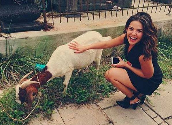 Danielle Campbell