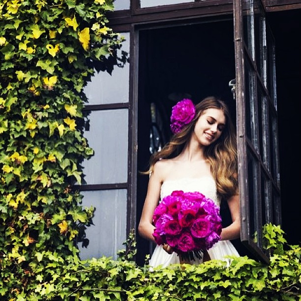 Yulia Rose Yulia Rose
