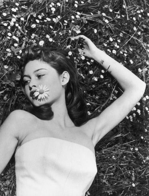 Brigitte Bardot Brigitte Bardot