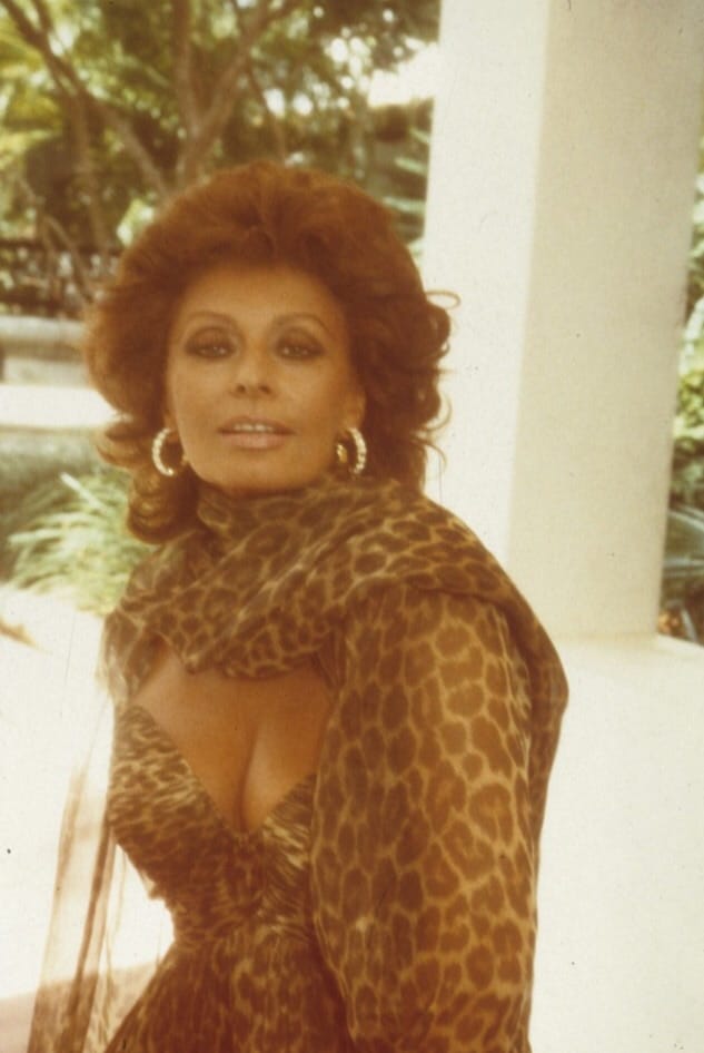 Picture of Sophia Loren