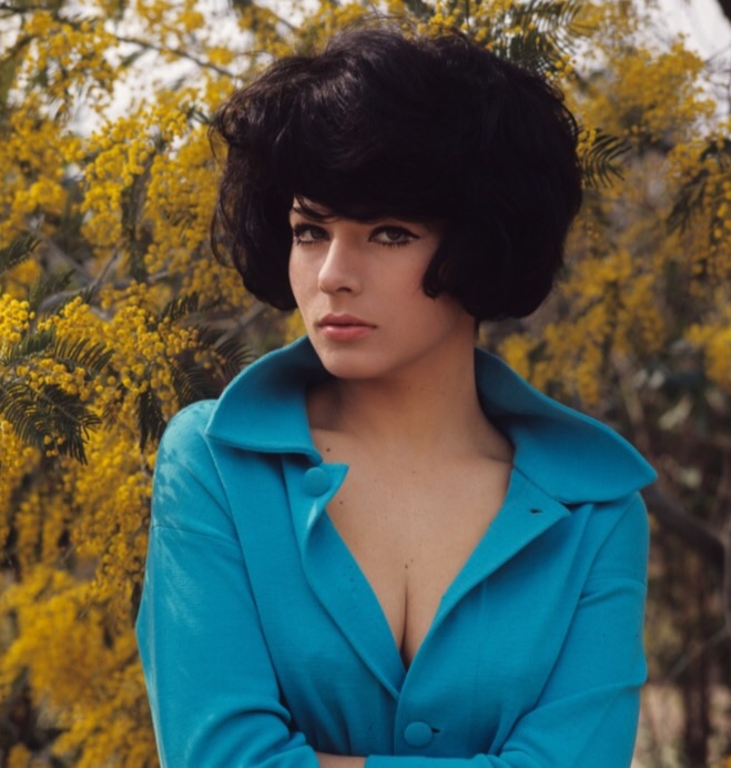 Picture of Marilù Tolo