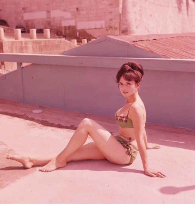 Pascale Petit Pascale Petit