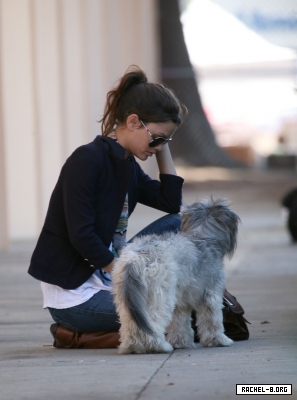 Rachel Bilson Rachel Bilson