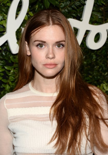 Holland Roden image