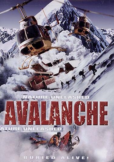 Nature Unleashed: Avalanche