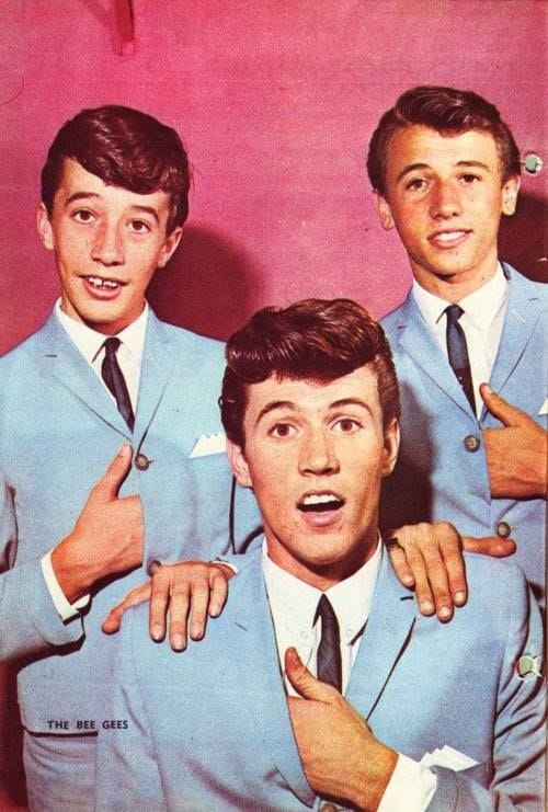 The Bee Gees