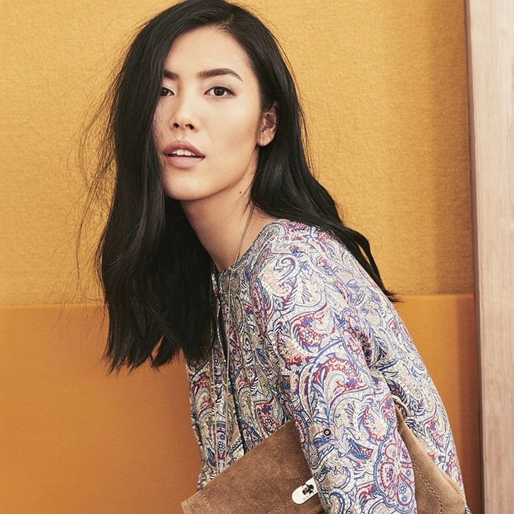 Liu Wen image