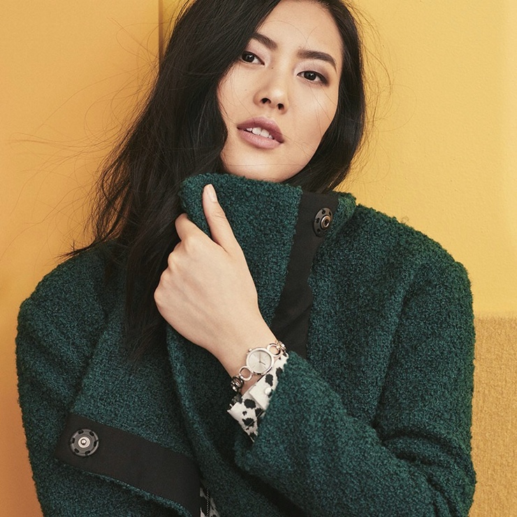 Liu Wen